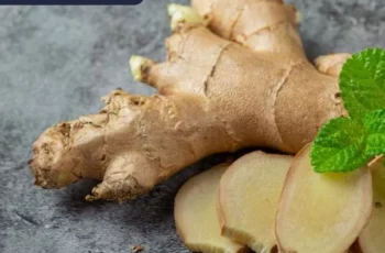 Breathe Easy: Natural Remedies to Soothe Your Cough