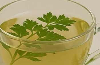 The Power of Parsley Tea: Natural Relief for Swelling in Legs, Ankles, and Feet