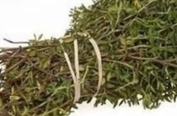 The Most Potent Herb That Destroys Parasites, Urinary Tract