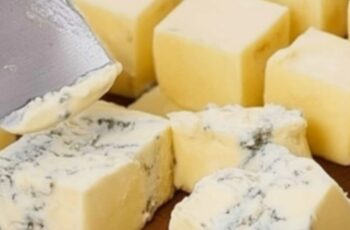 Homemade Cheese Recipe