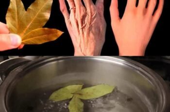 Bay Leaf: Nature’s Secret for Wrinkle-Free, Youthful Skin!