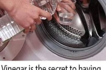 vinegar is a powerful natural cleaner that can help clean