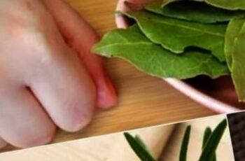 Natural Relief for Joint and Bone Discomfort with a Simple Herbal Remedy