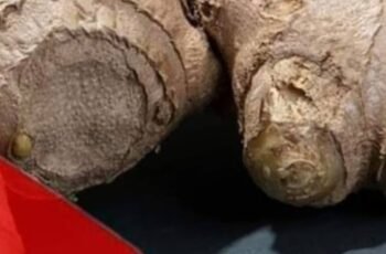 Understanding Ginger: When to Be Cautious