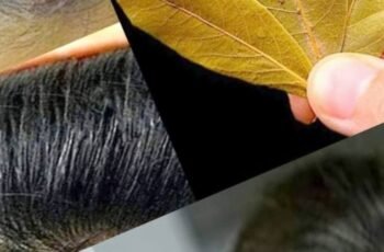 Gray Hair Disappears in 2 Minutes! 100% Efficient! (Did You Know That?)