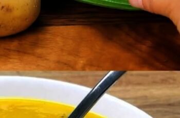 Chicken and Vegetable Soup