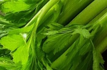 Cleanses the Liver 150 Times More Powerful Than Garlic and Lemon: Grandma’s Miracle Recipe
