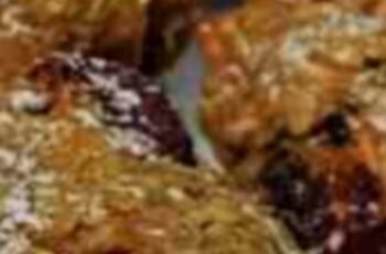 Baked Oatmeal with Fruits and Nuts