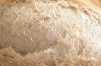 The Best No-Knead Sandwich Bread Recipe – Soft, Fluffy & Incredibly Easy