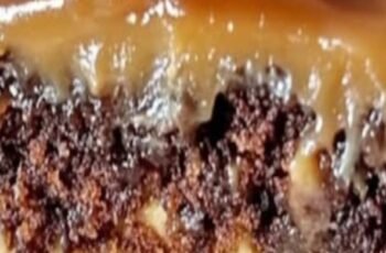 Decadent Turtle Caramel Cake: A Symphony of Chocolate, Caramel, and Pecans