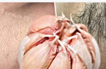 Stop Shaving Heres How to Permanently Get Rid of Facial Body and Pubic Hair with Natural Ingredients