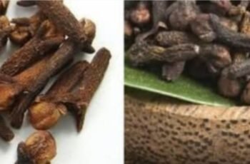 4 Secret Uses of Clove Spice You Need to Know