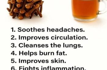 18 Powerful Ways to Use Clove Tea Your Warm Ally