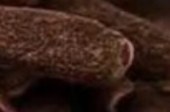 Clove: The Aromatic Superfood Your Health Will Love