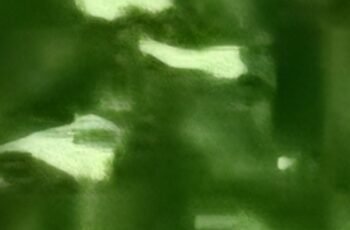 The Ultimate Parsley Tea to Eliminate Swelling