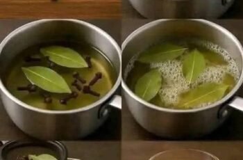 Bay Leaf and Clove Herbal Tea