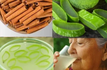 The Power of Aloe Vera and Cinnamon: