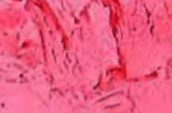 Simple Ice Cream Recipe: Only 4 Ingredients, Very Creamy, Excellent Yields