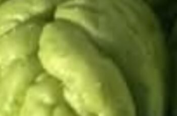 Unlock the Secret to a Healthier You