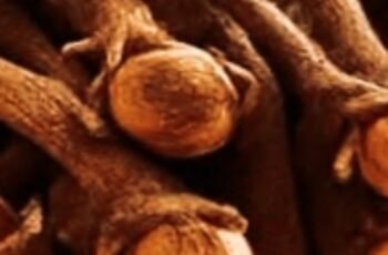18 Powerful Ways to Use Clove Tea: Your Warm Ally for Natural Wellness Boosts?