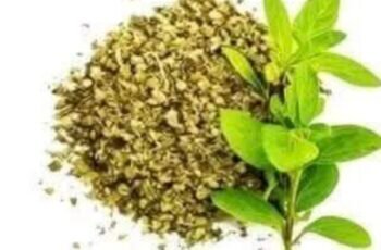 Oregano: A Powerful Herbal Remedy