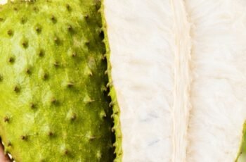 Soursop and Its Nutritious Smoothie: What Science Really Says About This Tropical Fruit