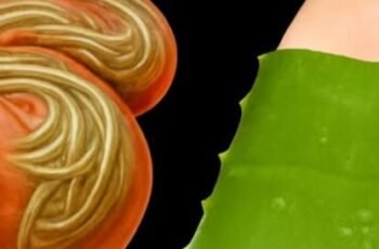 Unlock the Secret Power of Aloe Vera and Honey Natures Ultimate Bacteria and Fungi Fighter