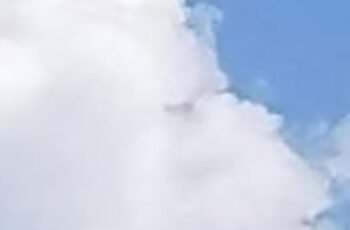 What Do You See: A Fish or a Plane?