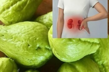 Benefits and Uses of Chayote Juice: A Refreshing Boost for Your Health