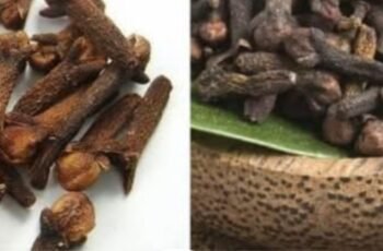 4 Secret Uses of Clove Spice You Need to Know