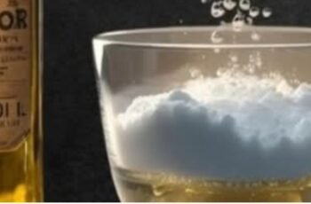 Castor Oil + Baking Soda The Gentle Duo Your Wellness Routine May Be Missing