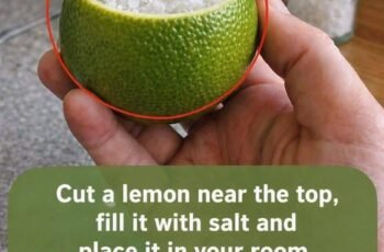 A Natural Home Remedy to Purify Your Space