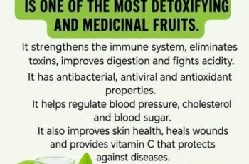 Natural Home Remedy to Purify Your Space