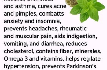 The Small Plant With Big Health Benefits