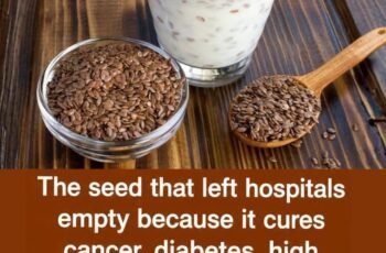 Grape Seed Benefits: Why These Tiny Seeds Are a Powerful Natural Antioxidant