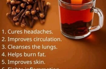 The Ancient Secret in Your Spice Rack: 18 Proven Ways Clove Tea Transforms Your Health, Metabolism, and Longevity