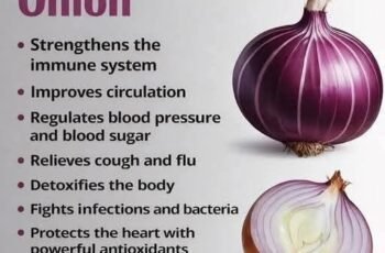 Strengthening the Immune System