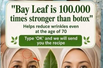 Why Bay Leaves May Support Smoother, More Radiant-Looking Skin