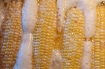 Air Fryer Corn on the Cob
