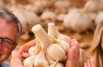 Garlic: The Natural Antibiotic that Fights Infections.To continue receiving my recipes, you just need to say one thing… Thank you!
