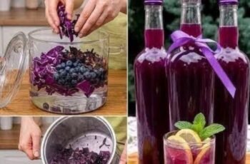 Purple Cabbage and Blueberry Juice